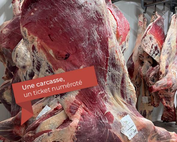 carcasse-maturation-2