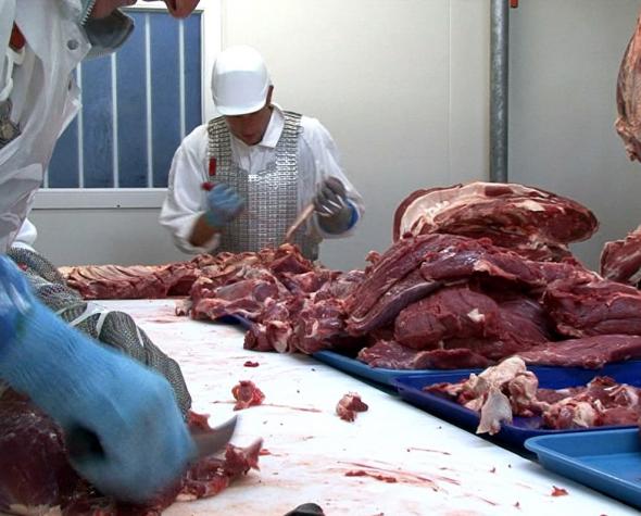 decoupe-professionnel