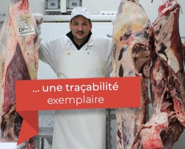 tracabilite-bete-par-bete