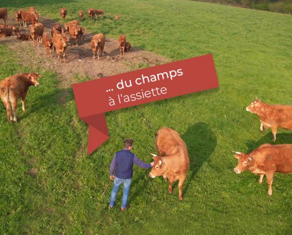 v2-du-champs-a-l-assiette