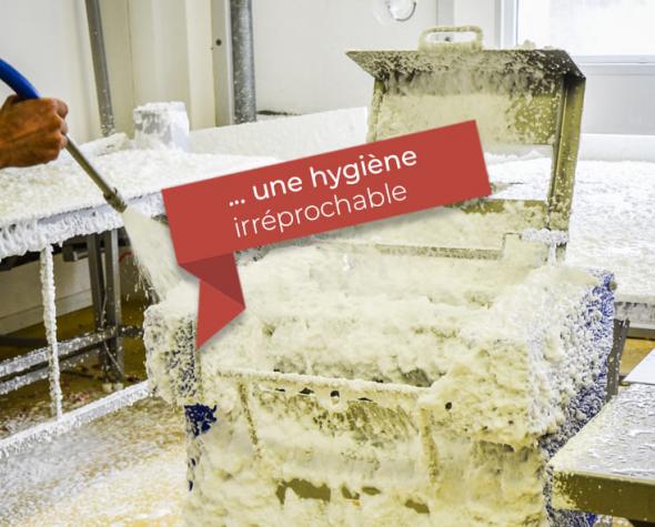 v2-securite-alimentaire-et-sanitaire-maximale