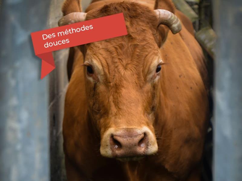 abattage-methode-douce