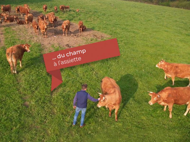 du-champs-a-l-assiette