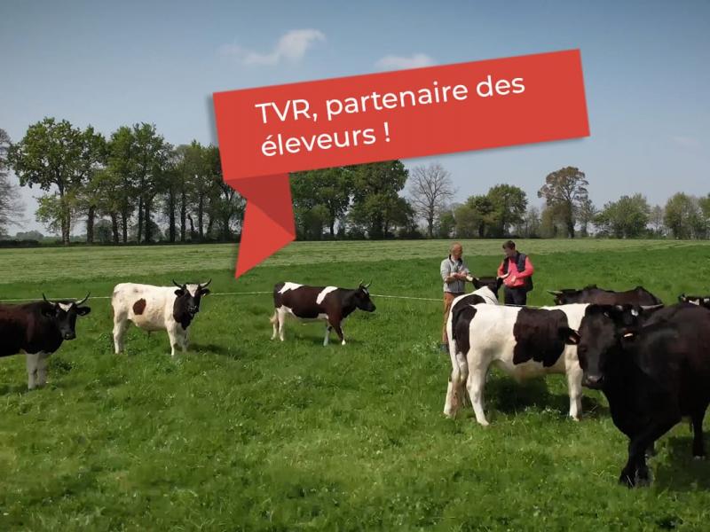 eleveurs-champs-tvr-avec-etiquette-rouge