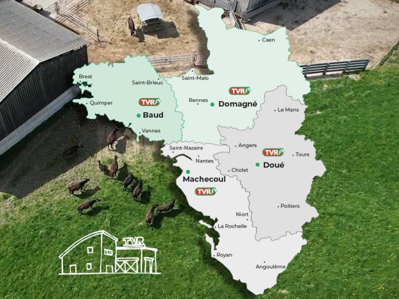 Site TVR découpe de viande grand ouest